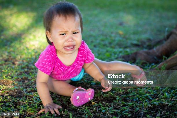 Run Fall Crying Toddler Crying From Falling Down Learning How To Walk Stock Photo ...