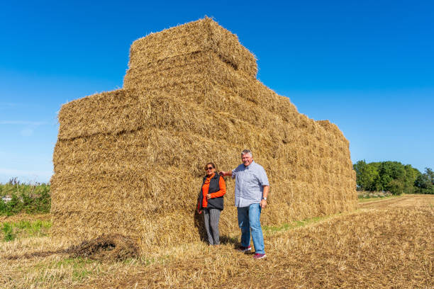istock Senior multiracial couple  on hay bales 1178013071