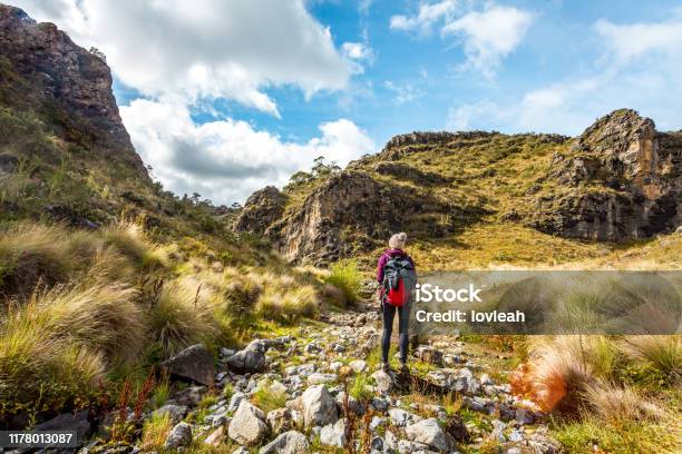 Hiker In A Gorge In Snowy High Plains Stock Photo - Download Image Now - Kosciuszko National Park, Australia, Hiking