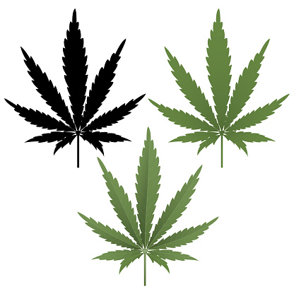 Cannabis leaf. Green marijuana isolated on white background. Herbal medicine herb plant. Vector illustration