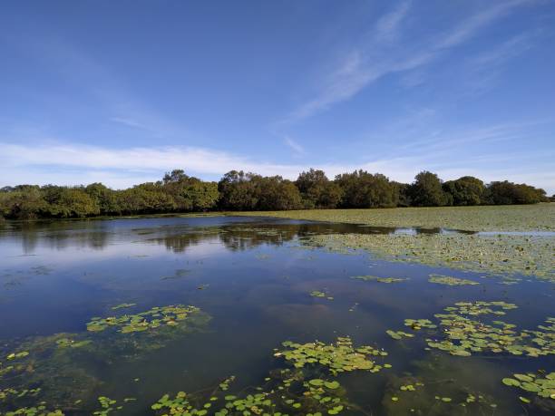 istock Beautiful lake with small flowers on plateau 1178013249