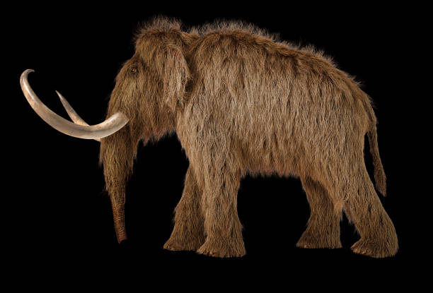 istock Woolly mammoth realistic 3d illustration viewed from a side. 1178017036