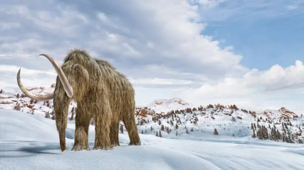 Photo of Woolly mammoth set in a winter scene environment. 16/9 Panoramic format.