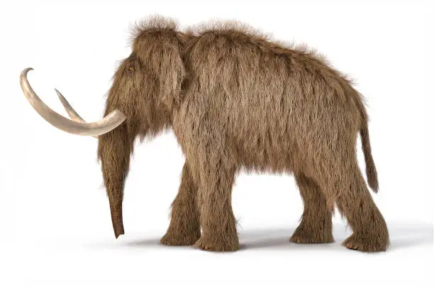 Woolly mammoth realistic 3d illustration viewed from a side. On white background with dropped shadow.