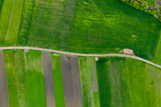 istock agriculture land drone view 1178019709
