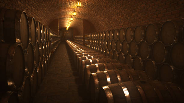 climatic wine cellar - aging process french culture winemaking next to imagens e fotografias de stock