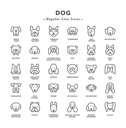 Dog - Regular Line Icons - Vector EPS 10 File, Pixel Perfect 30 Icons.