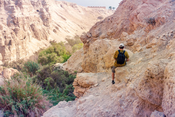 istock A traveler resting on a mountainside while hiking in the Ein Gedi Nature Reserve 1178033537