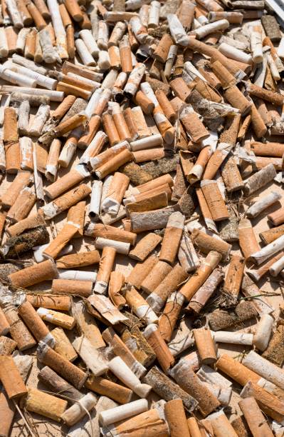 istock Collection of cigarette butts by volonteers 1178035176