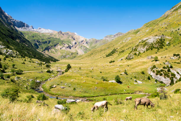 istock Ordesa and Monteperdido National Park 1178035427