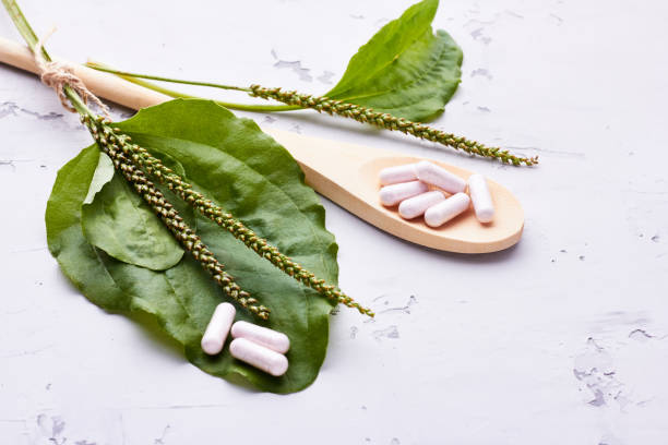 istock Herbal remedy in capsules and plants over light grey background 1178037038