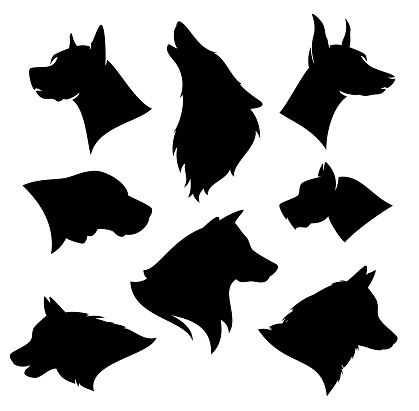 set of different dog breeds silhouettes - black and white vector outlines of profile pet heads