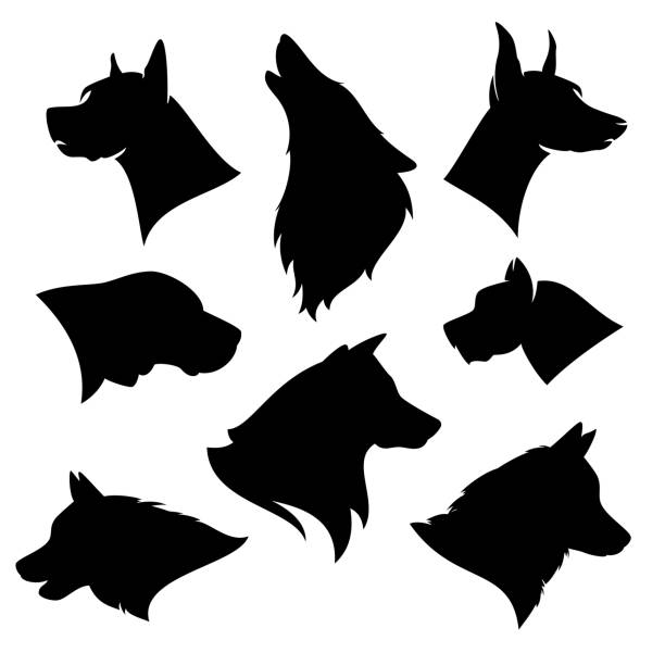 dog breeds vector silhouette set - black canine heads variety set of different dog breeds silhouettes - black and white vector outlines of profile pet heads hound stock illustrations