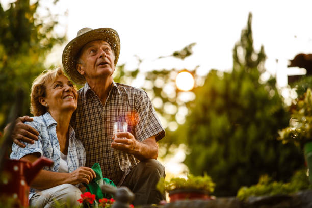 istock Happy senior couple looking up 1178039447