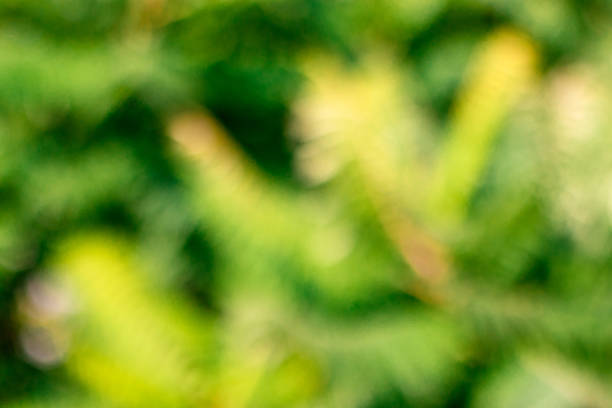 Soft blurred sweet green glitter bokeh nature abstract background