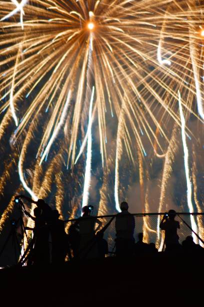 istock Fireworks and people silhouette 1178042818
