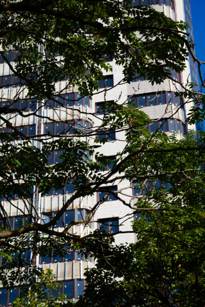 istock High-rise residential building close-up. 1178043260