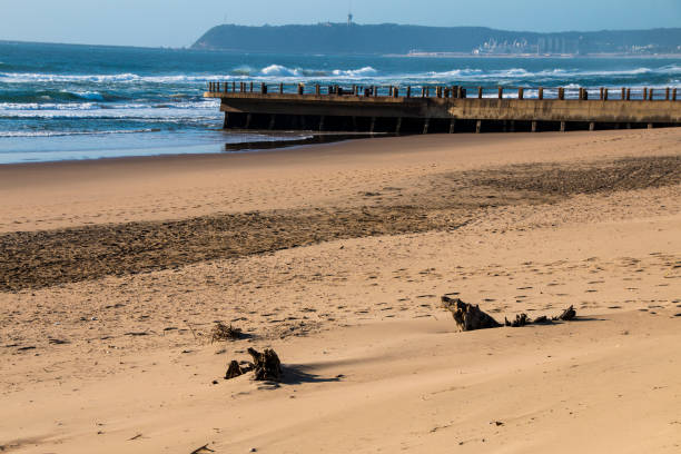 istock Stretch of Beach in Durban with Pier 1178043328