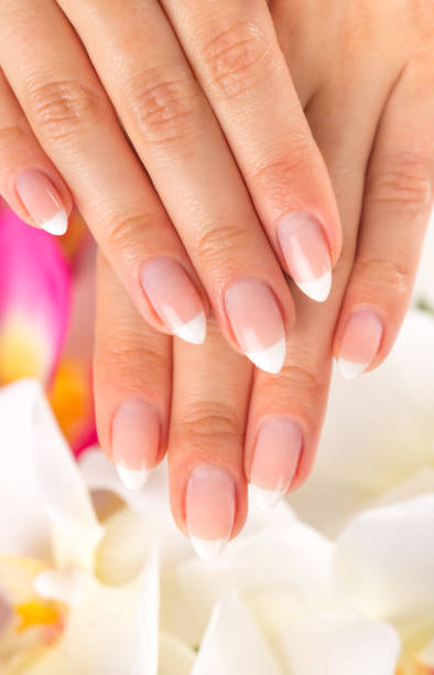 istock Beautiful woman's nails, french manicure. 1178045282