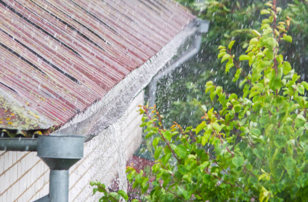 istock Close up of old gutter full of rain water 1178046551