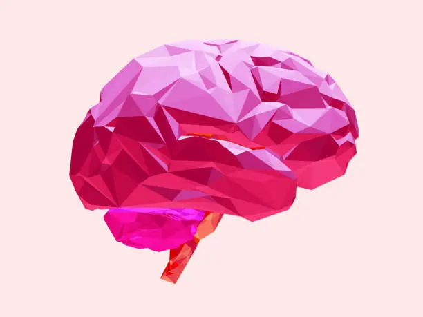 Vector illustration of Brain. 3d model.