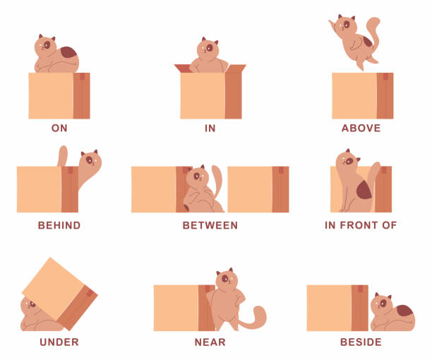 Preposition Of Place Illustration With Cute Cat And Box Vector Cartoon Set  Isolated On A White Background Stock Illustration - Download Image Now -  iStock