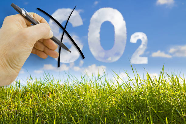 istock CO2 reduction concept image against a green wild grass on sky background 1178058076