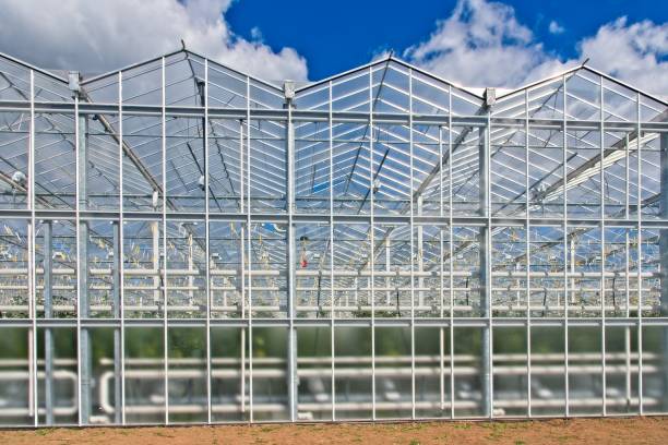 istock Large modern glass industrial greenhouse 1178062556
