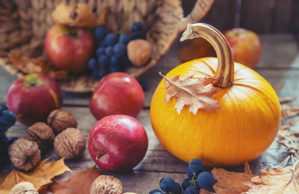istock Autumn background with pumpkin. Thanksgiving Day. Selective focus. 1178068292
