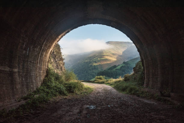 Light at the end of the tunnel Light at the end of the tunnel concept - An old, dark tunnel leading to a beautiful landscape tunnel stock pictures, royalty-free photos & images