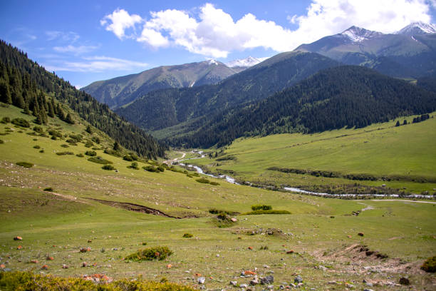 istock Mountain river flowing through a green valley between hills covered with forest against a cloudy sky. 1178070872