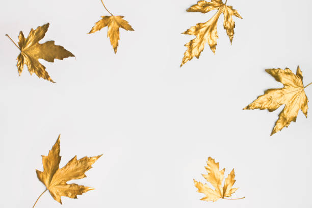istock Fall and autumn flat lay with painted golden leaves on white background 1178080651