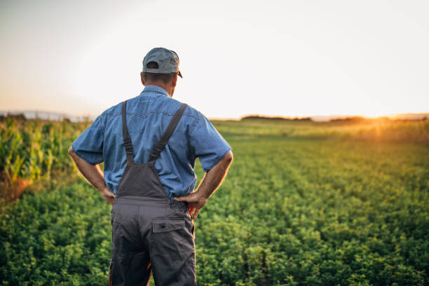 istock Farmer standing on the agricultural field 1178081667