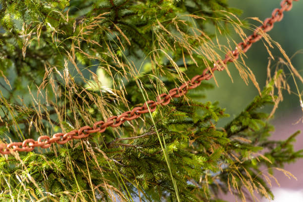 Old rusted iron chain, blurred background with plants; outdoors image