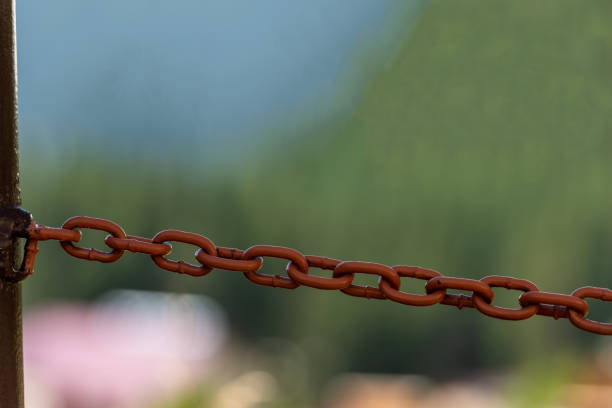 Old rusted iron chain, blurred background with plants; outdoors image