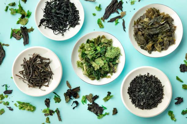 Various dry seaweed, sea vegetables, shot from above on a teal background stock photo