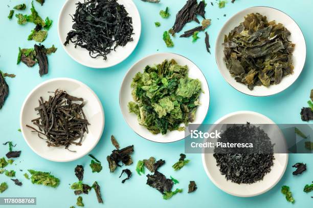 Various Dry Seaweed Sea Vegetables Shot From Above On A Teal Background Stock Photo - Download Image Now