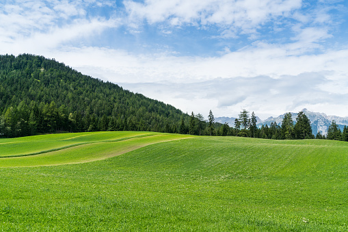 Allgäu landscape near Bad Hindelang
