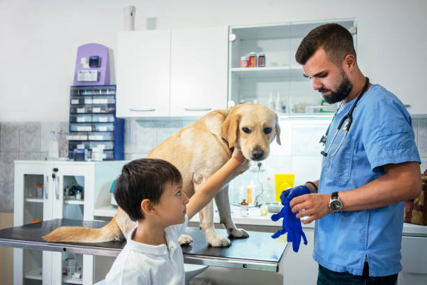 istock Veterinarian life 1178090652