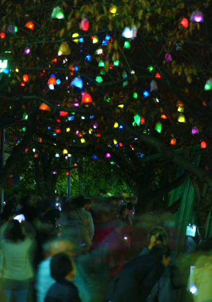 Illuminated tree Illuminated tree. Shooting Location: Tokyo metropolitan area 電球 stock pictures, royalty-free photos & images