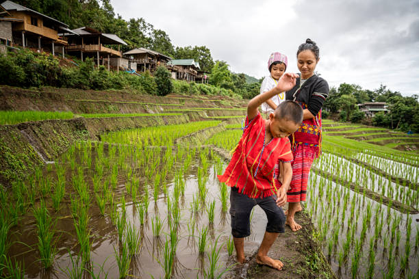 famiglia pakhayo camminare sulle terrazze di riso. ban pa bong piang regione settentrionale nella provincia di chiangmai distretto di mae chaem che ha le terrazze di riso più belle della thailandia. - sa pa foto e immagini stock