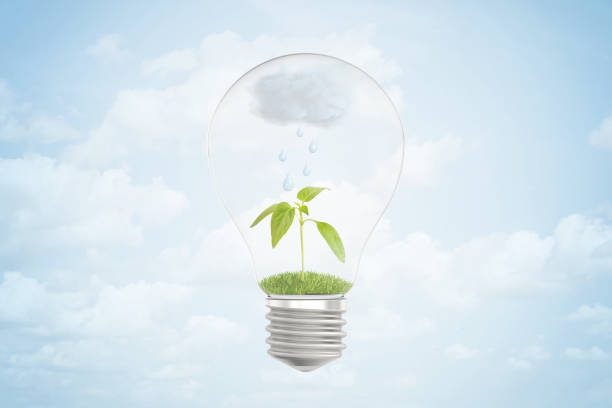 istock 3d rendering of a rainy cloud over a green sprout inside a light bulb on blue background 1178093615