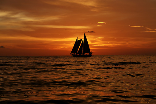 This pic was taken when i visited Clear water beach, Tampa