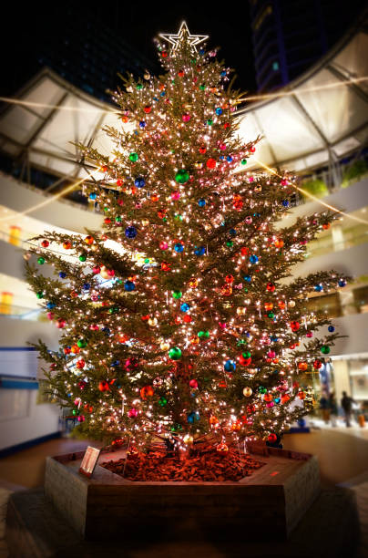 Christmas tree Christmas tree. Shooting Location: Yokohama-city kanagawa prefecture 雪 stock pictures, royalty-free photos & images