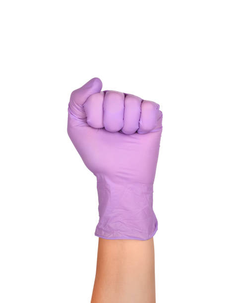 Solid fist or anger gesture in latex surgical gloved sign against white background. Hand in a purple latex glove isolated on white. Woman's hand gesture or sign isolated on white. Solid fist or anger gesture in latex surgical gloved sign against white background. Hand in a purple latex glove isolated on white. Woman's hand gesture or sign isolated on white. sign human hand pointing manual worker stock pictures, royalty-free photos & images