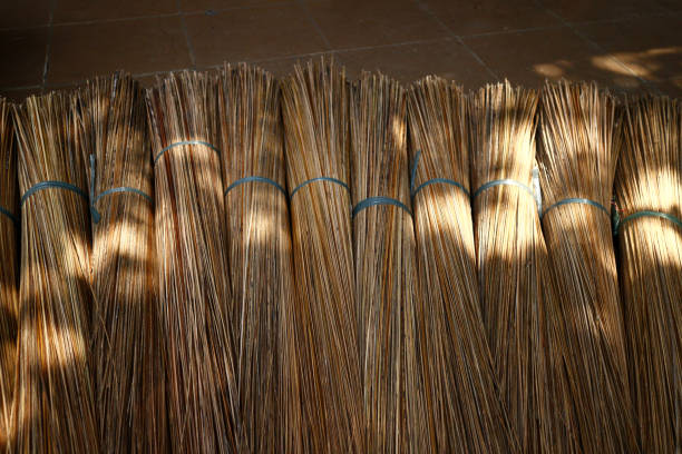 Photo of new coconut brooms on display at store