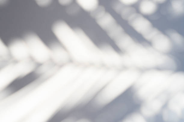 istock blurred shadow of a palm leaf on a white background 1178098847