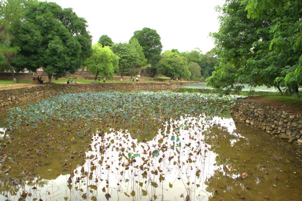 istock View across a lotus pond 1178098988