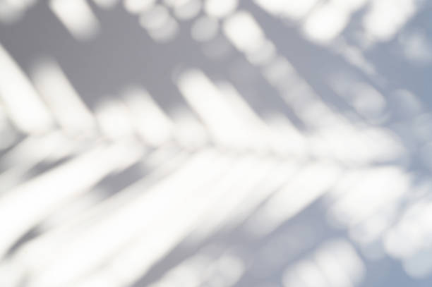 istock blurred shadow of a palm leaf on a white background 1178099031