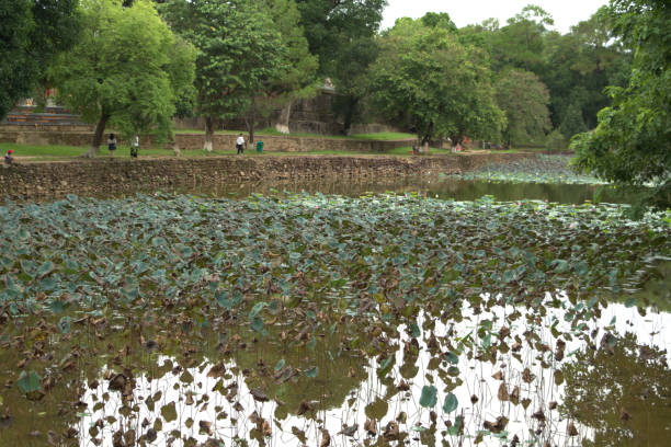istock View across a lotus pond 1178099105